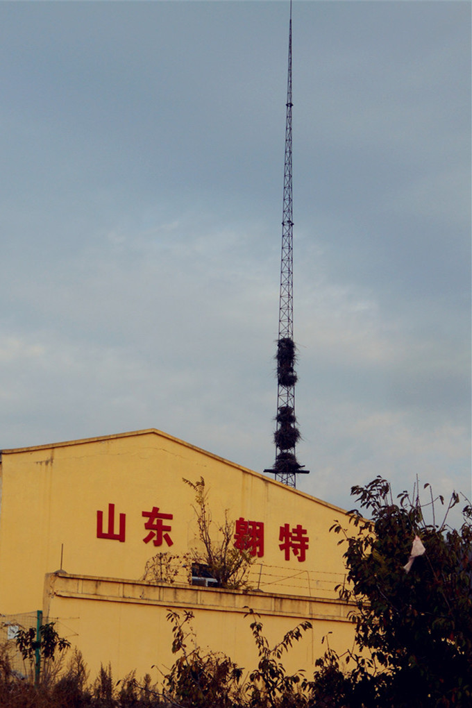 胜利南路南延 17.jpg