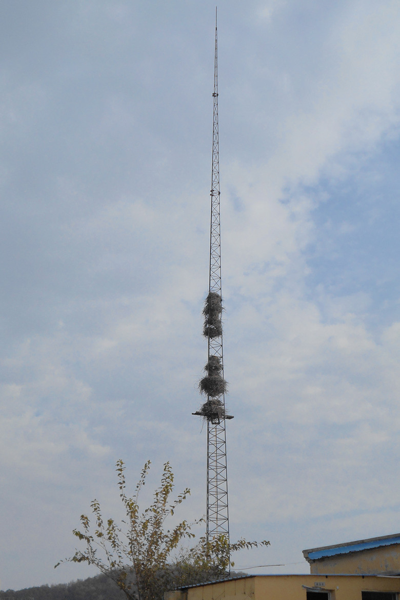 胜利南路南延 18.jpg