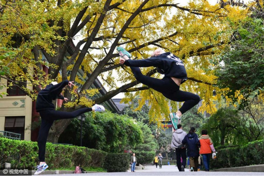 2016年11月16日，江苏南京，被誉为“东方最美校园”的南京师范大学随园校区内，两棵百.png