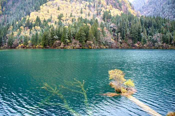 DSC00017.jpg
