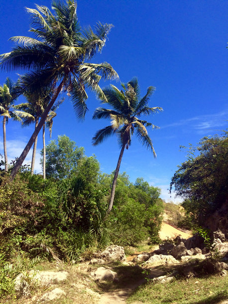 2016-01-27 112542.jpg