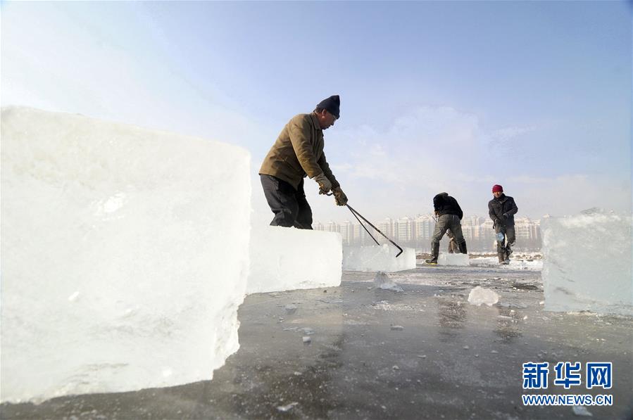 2013年12月8日，工人们在黑龙江省牡丹江市牡丹江封冻的江面上采冰。每年大雪节气到来.jpg