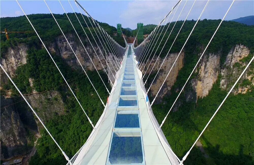 1008060000001wv994FD5.jpg