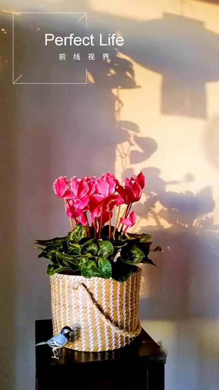 psb (2).jpg