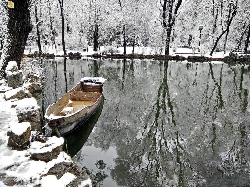 00.中国甘肃部分地区近日迎来持续性降雪天气，好些地方在春天里披上了白色的“冬装”.jpg
