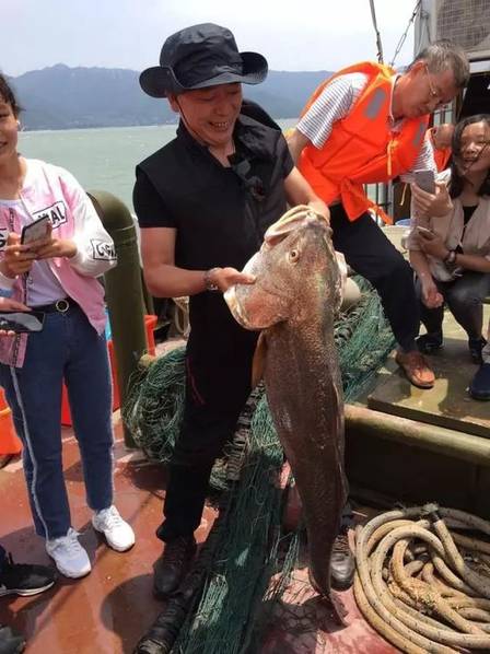 福建渔民捕到1条天价鱼 卖出347万人民币（图）1.jpeg