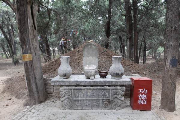 在树林的前方一字排开三苏的坟丘,中间的是"宋老泉苏先生之墓",右侧为
