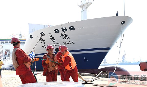 海蓝鲸首抵烟台.jpg