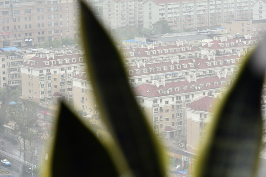 雨后的清新 3.jpg