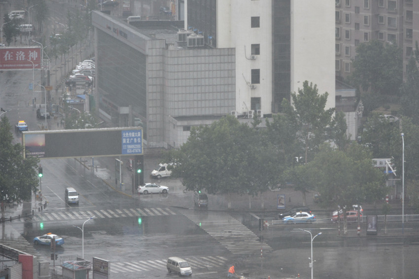 雨后的清新 4.jpg