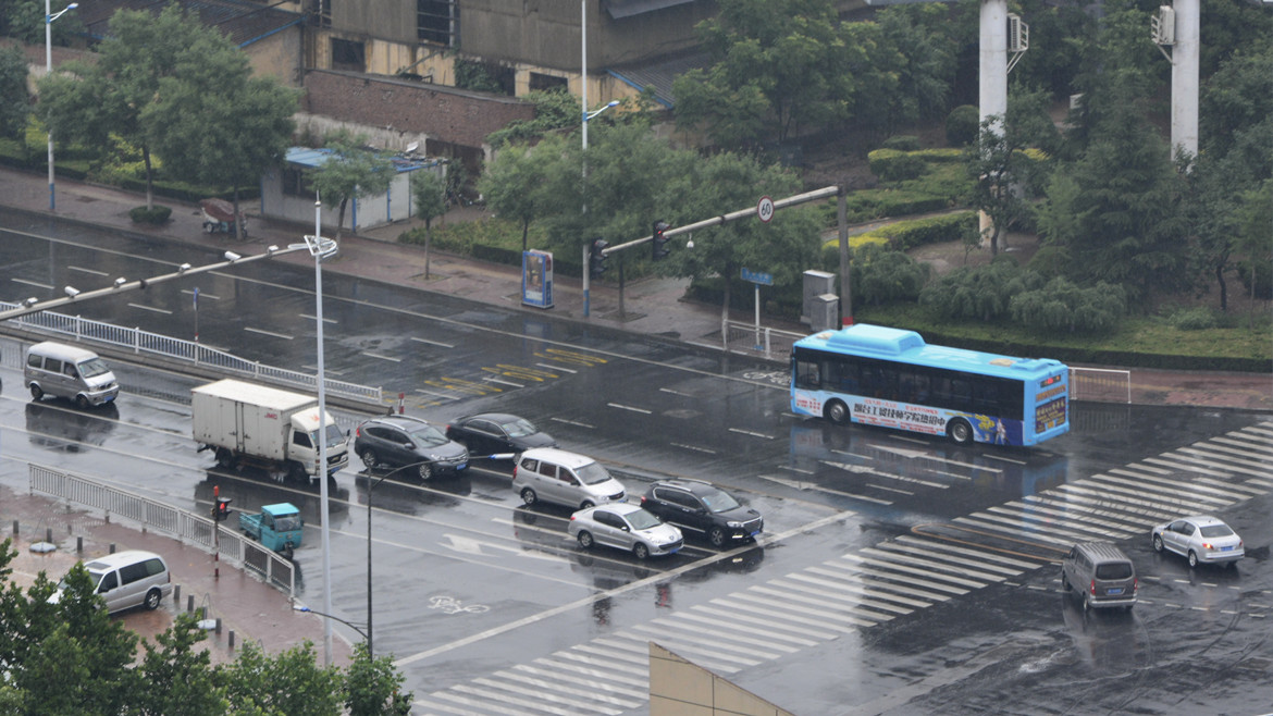 雨后的清新 7.jpg