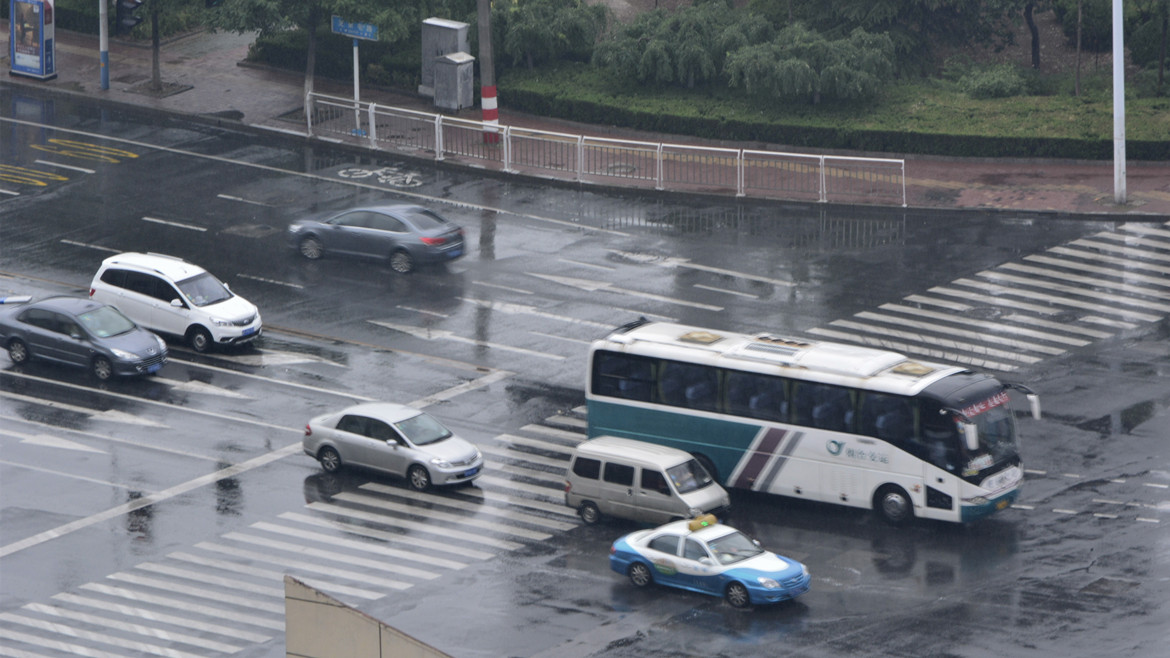 雨后的清新 8.jpg