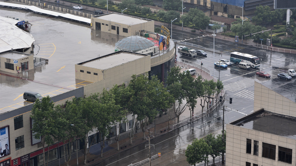 雨后的清新 10.jpg
