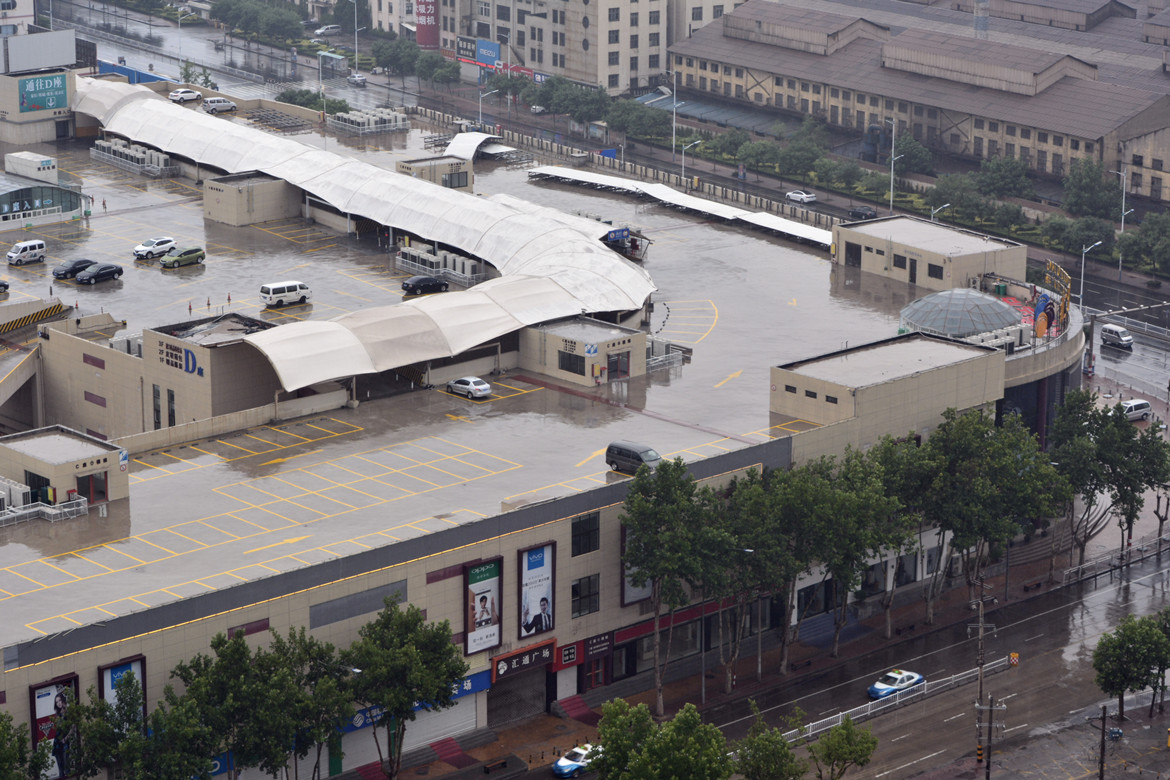 雨后的清新 9.jpg