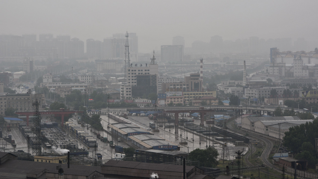 雨后的清新 5.jpg