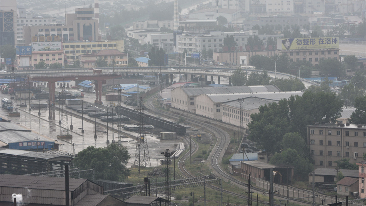 雨后的清新 6.jpg