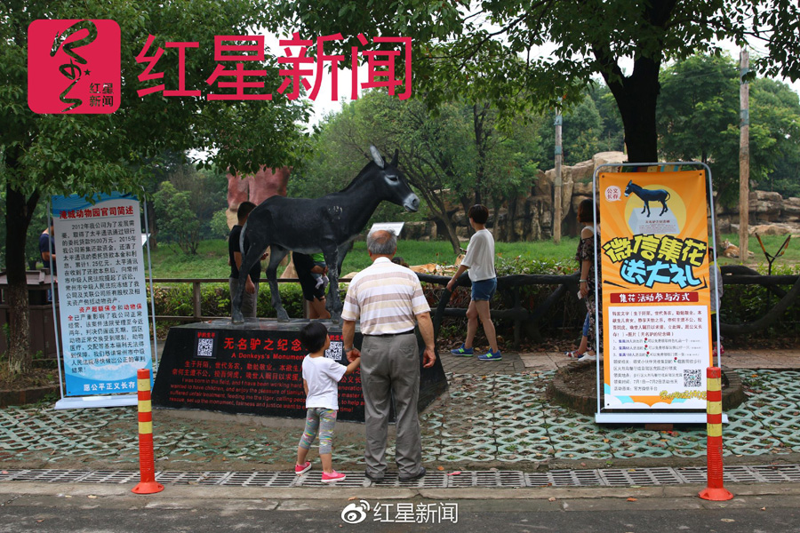 有游客在园内观看该纪念碑.jpg