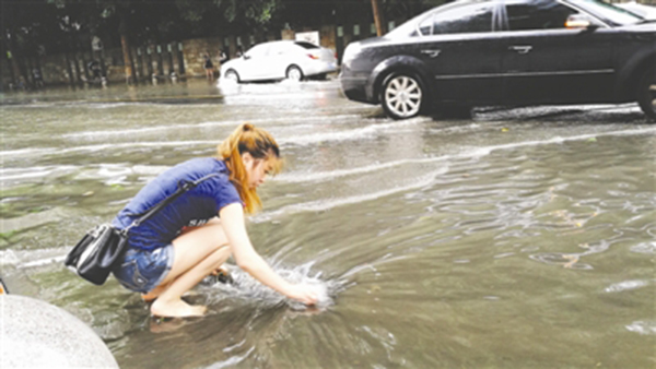 昨日，桐梓林北路上善国际路口，一名扎着马尾辫的女孩冒雨蹲在积水中，清理下水道的树.jpg