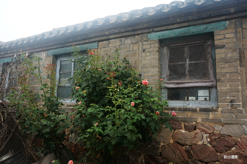 168.jpg