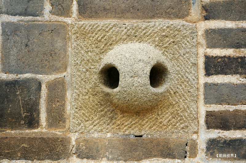 113.jpg