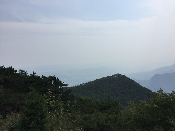 IMG_1141.jpg