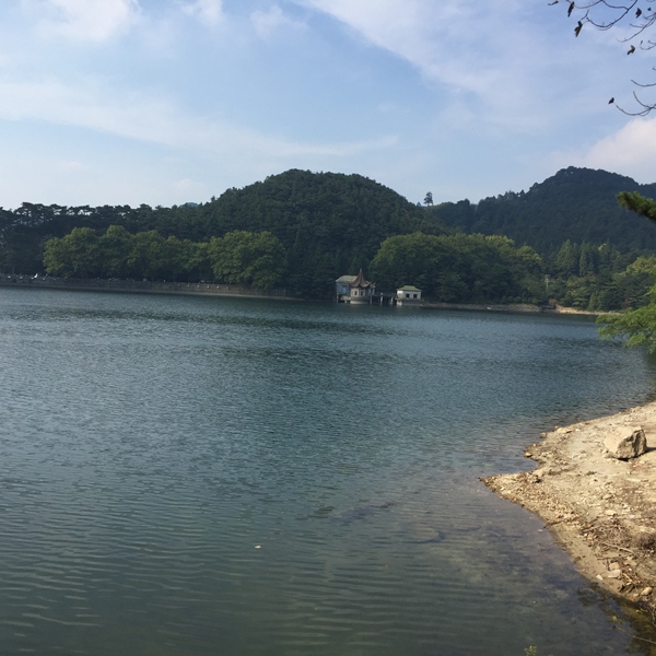 IMG_1190.jpg