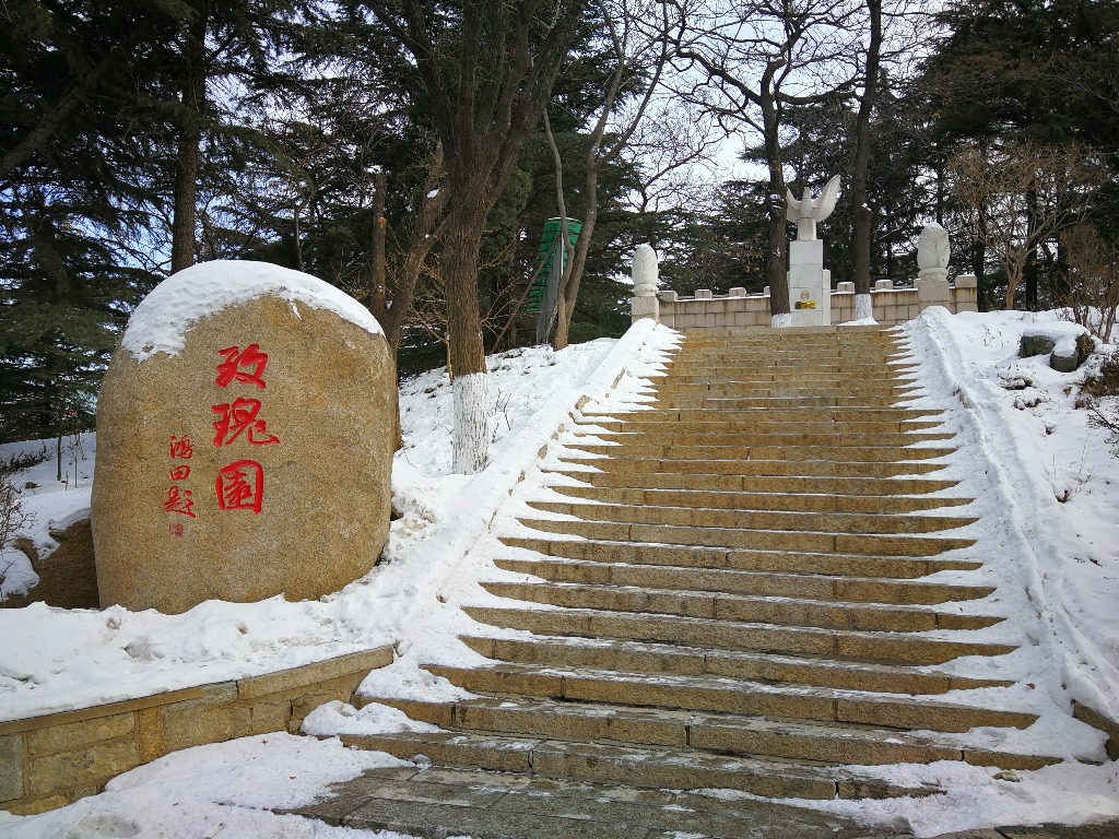 IMG_20180129_124449.jpg