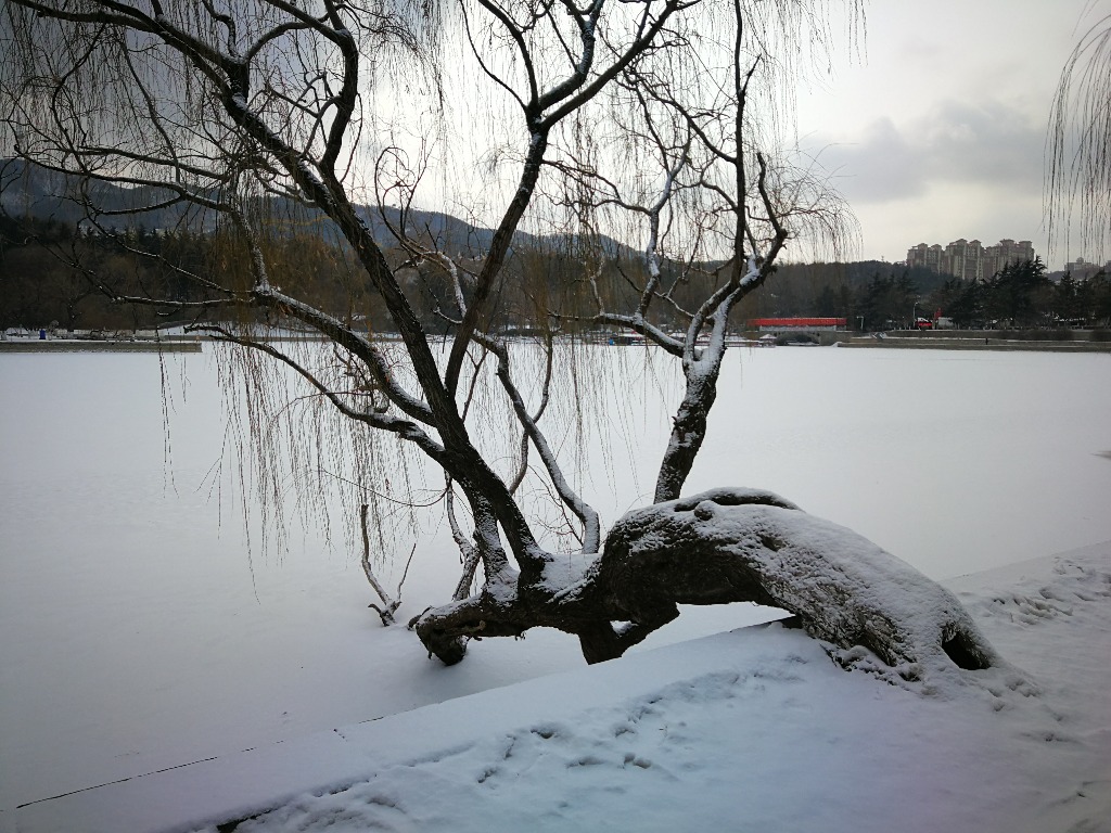 IMG_20180202_132117.jpg