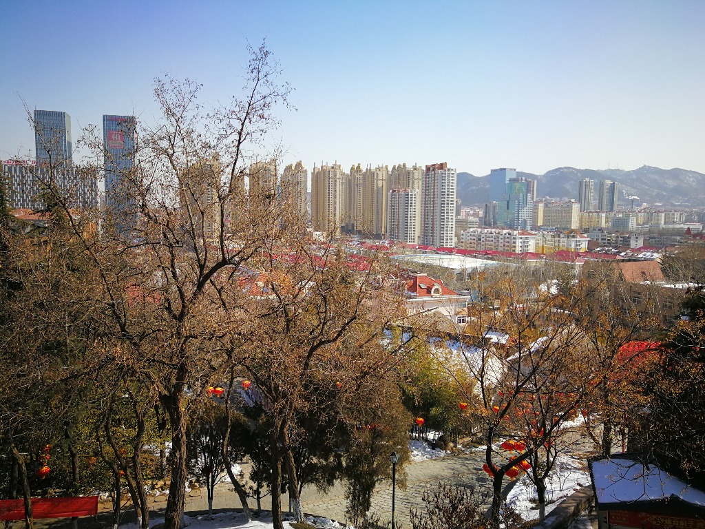IMG_20180212_124610.jpg