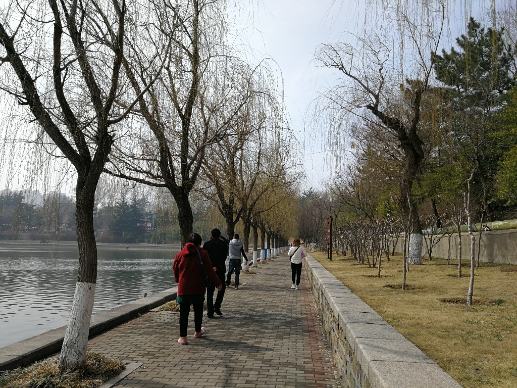 IMG_20180319_125217.jpg
