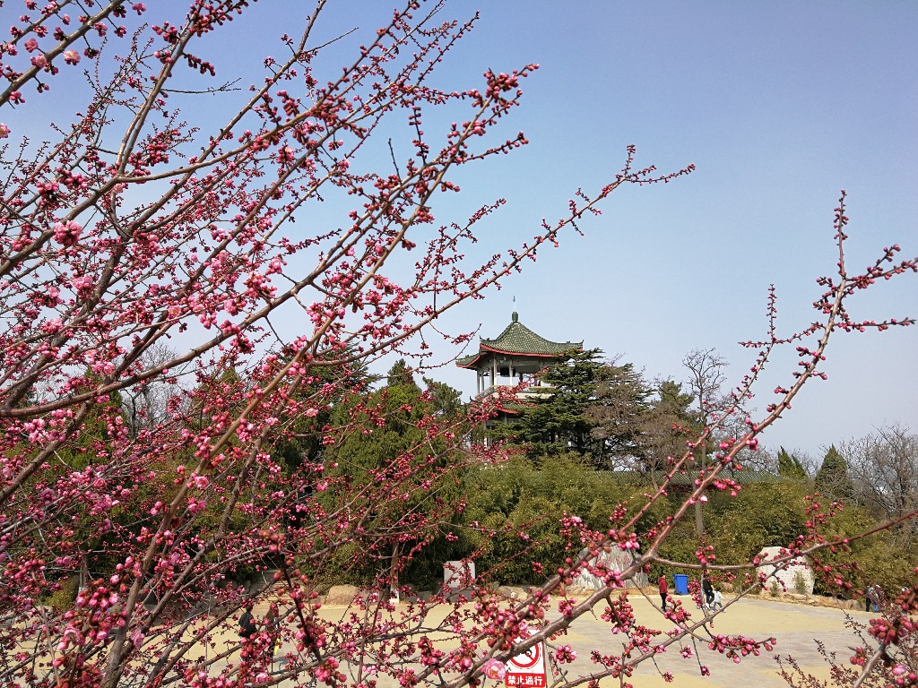 IMG_20180327_131659.jpg