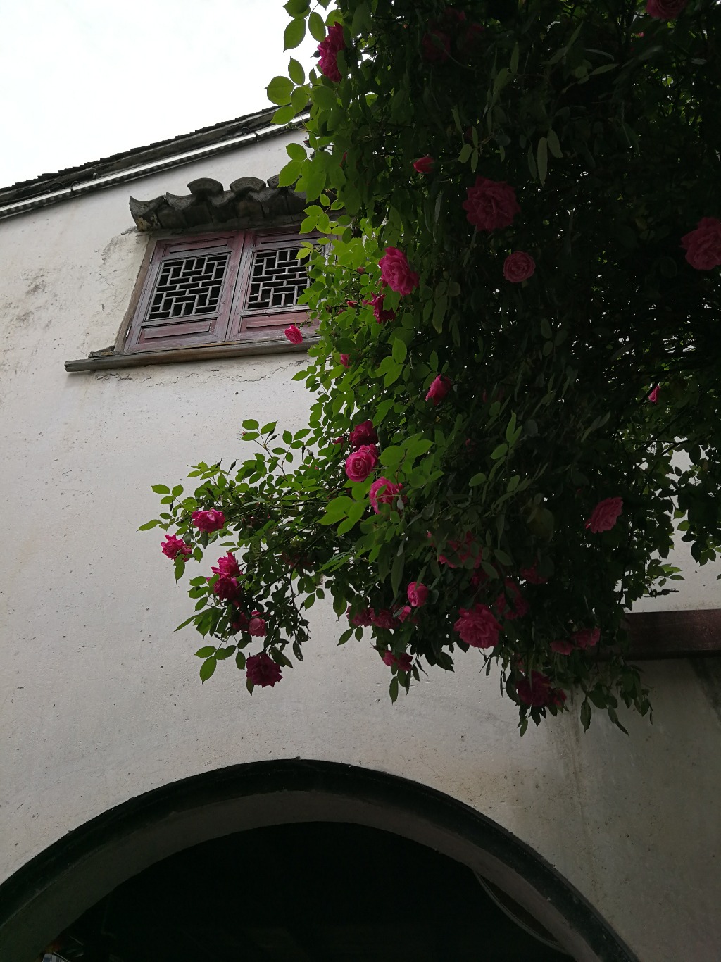 IMG_20180406_120709.jpg