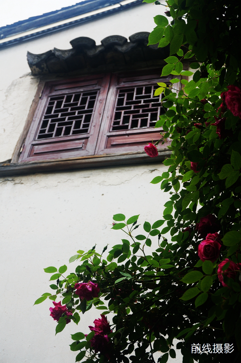 DSC02302.jpg