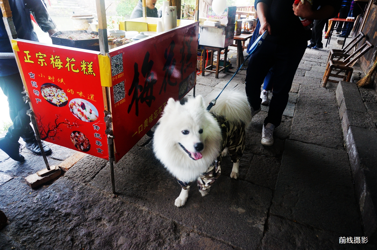 DSC02410.jpg