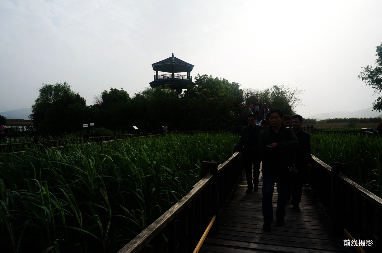 DSC02525.jpg