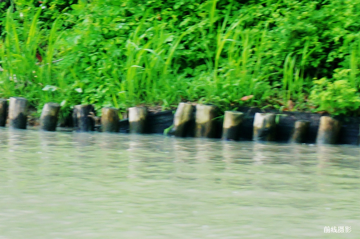 DSC02542.jpg