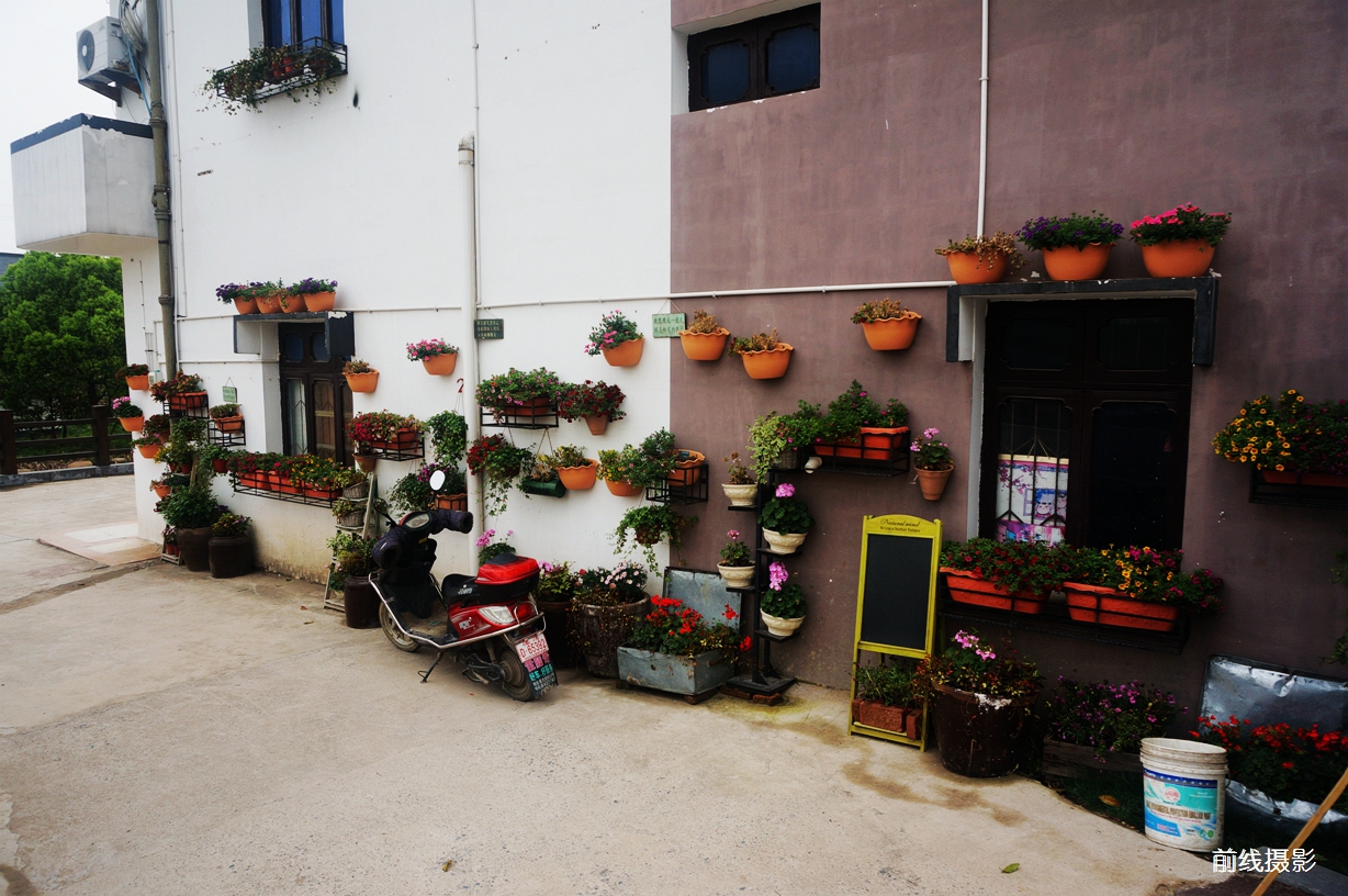 DSC02548.jpg