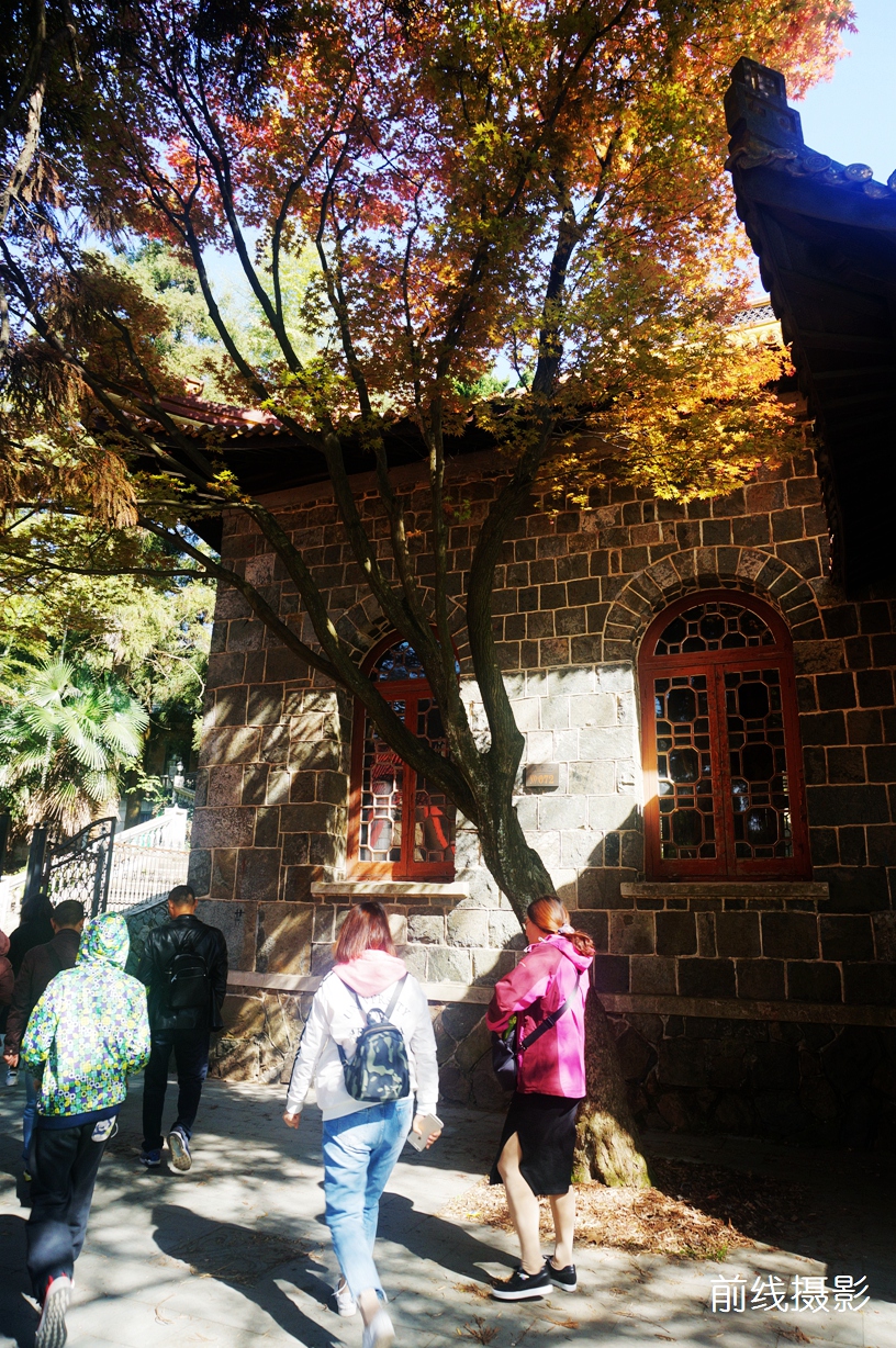 DSC02572.jpg