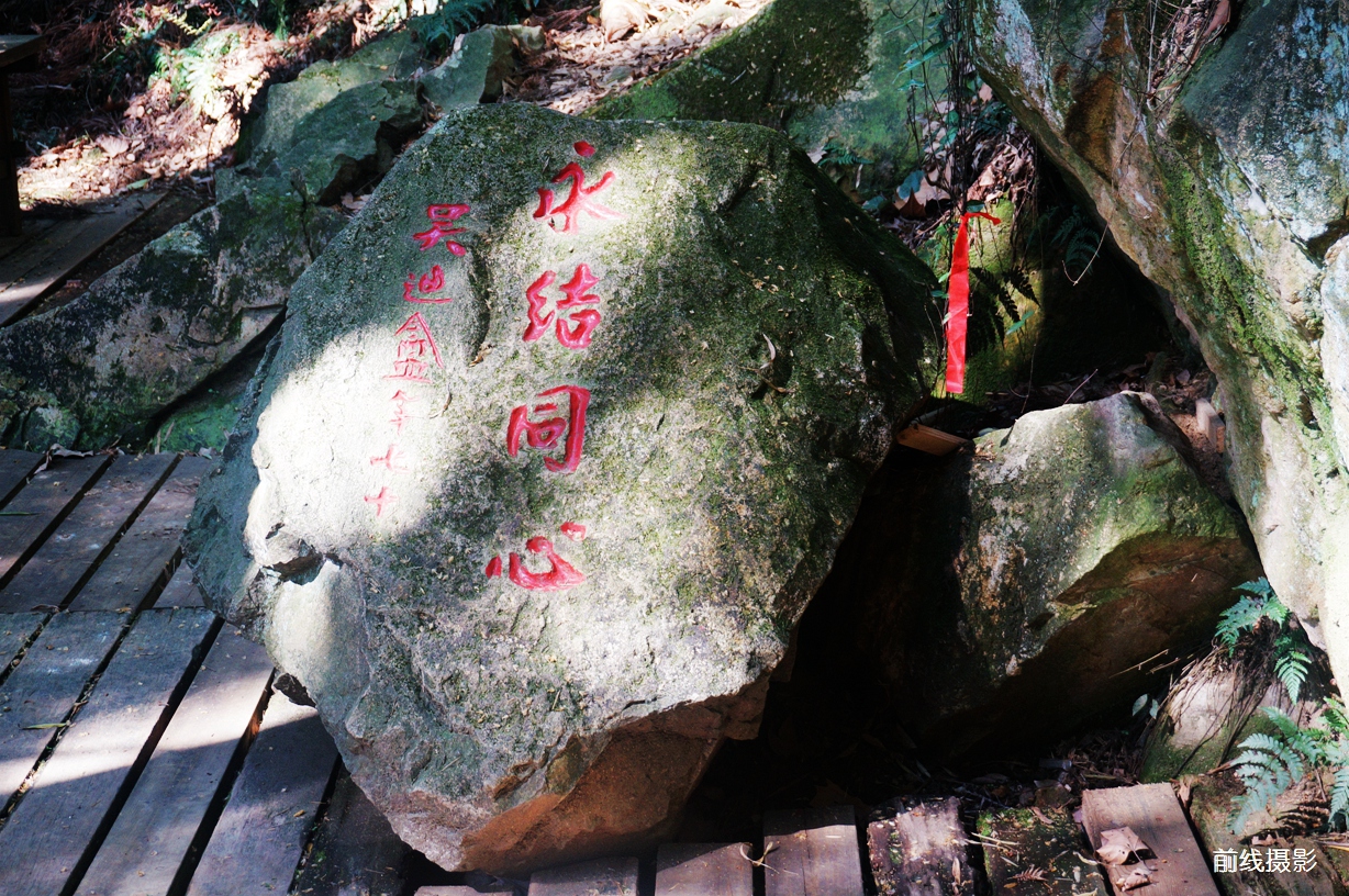 DSC02578.jpg
