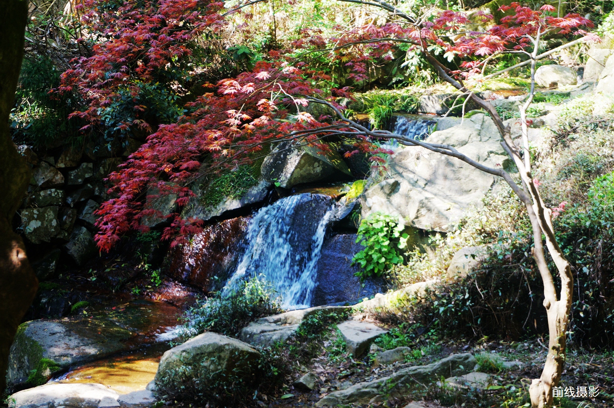 DSC02580.jpg