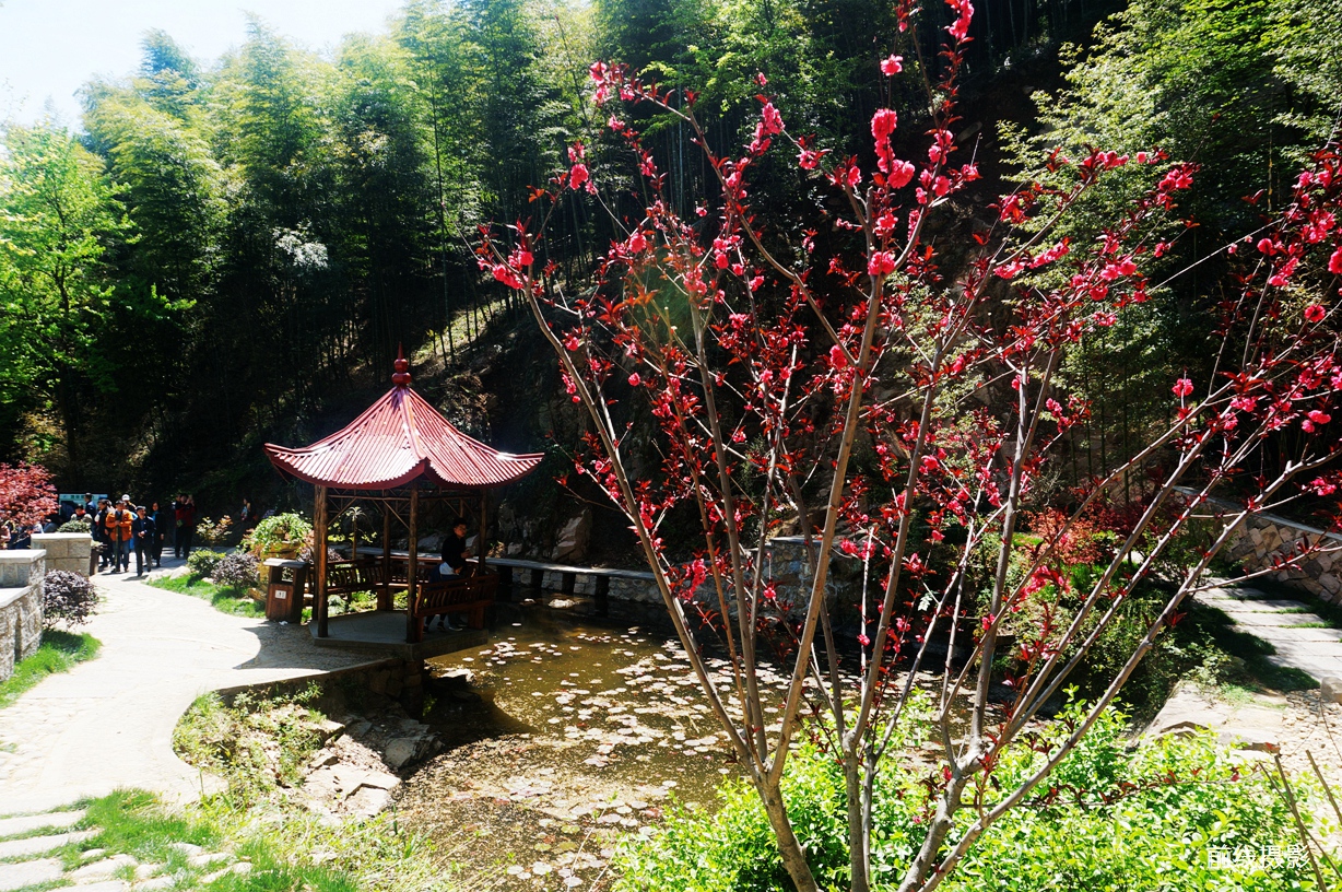 DSC02740.jpg