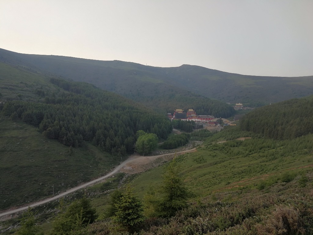IMG_20180602_190636.jpg