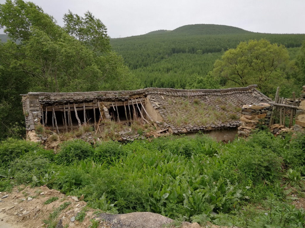 IMG_20180603_082552.jpg