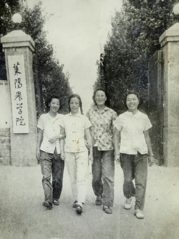 莱阳农学院.jpg