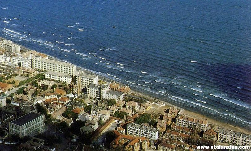 照片中部最下方为鲁滨饭店主楼，平面呈双“Y"形