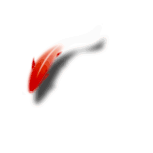 162729qrw7iio2mxrwowsc.gif