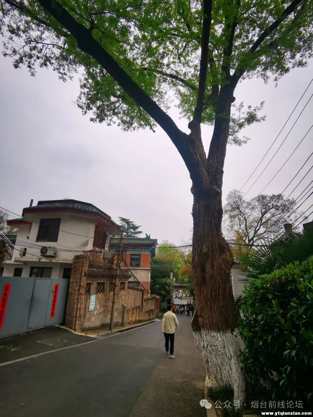 111909of7idlay6ydf7978.jpeg