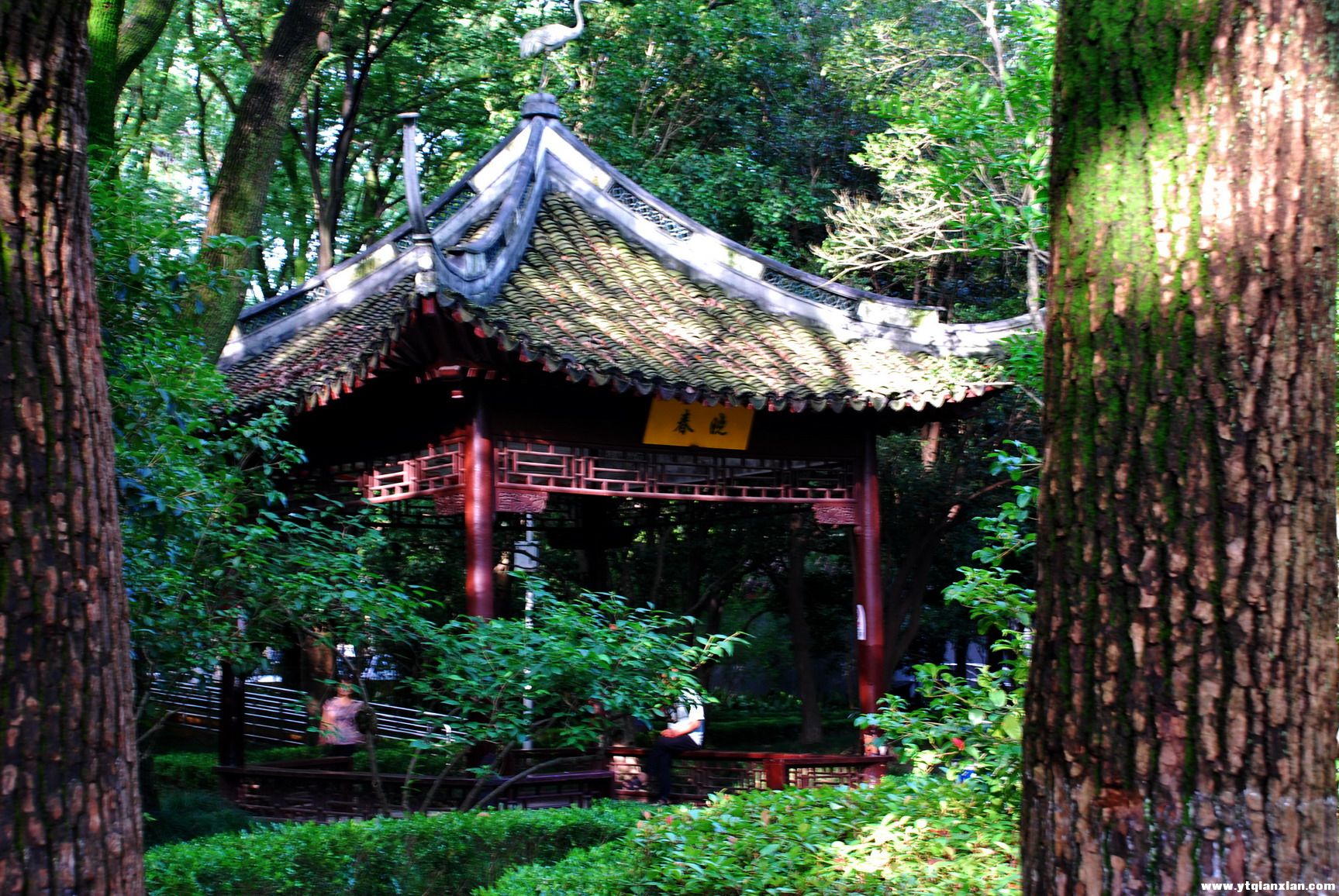 川沙15.jpg