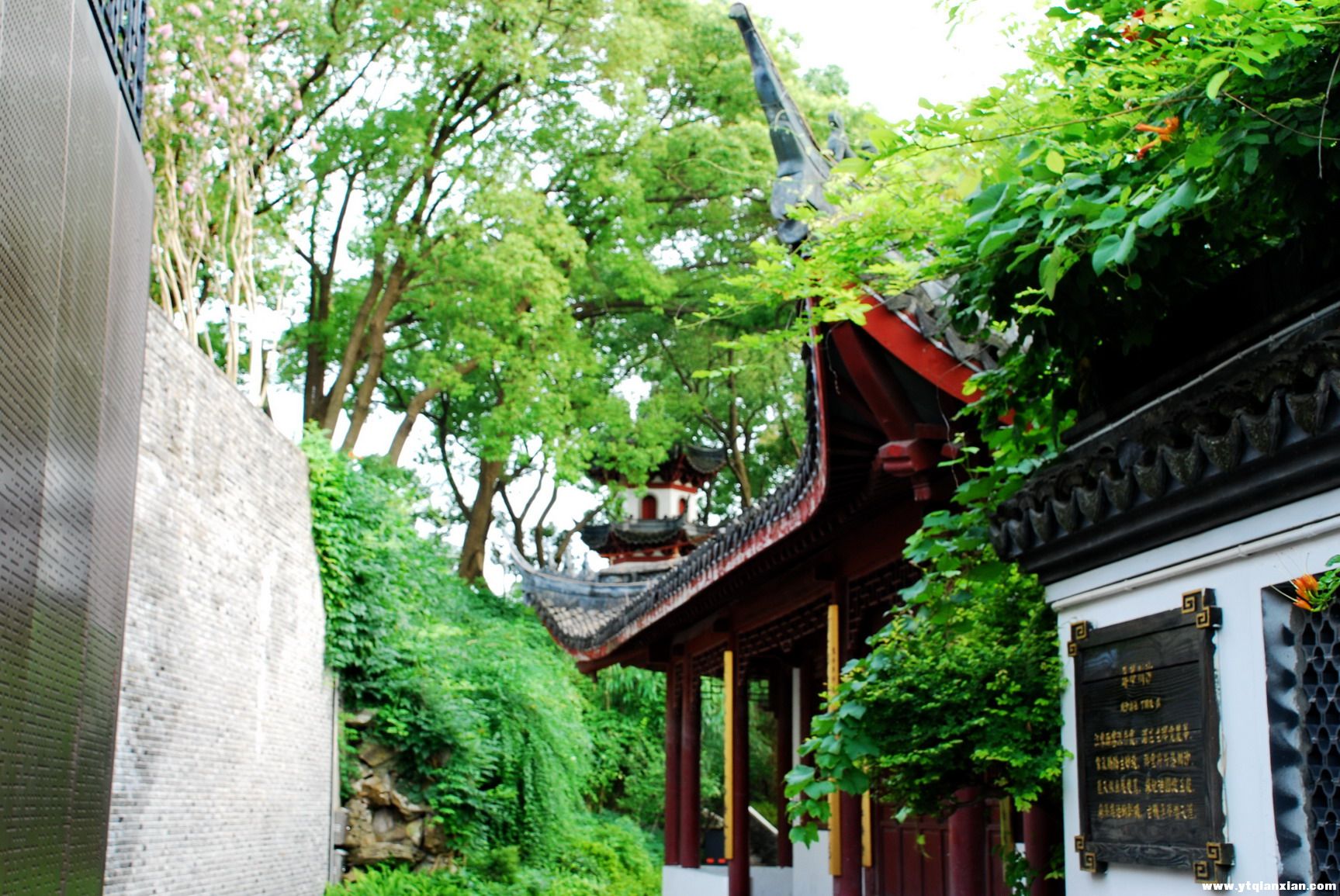 川沙27.jpg