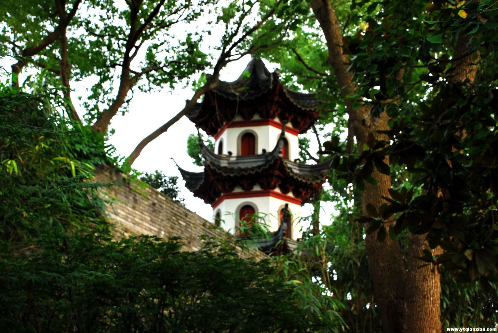 川沙28.jpg
